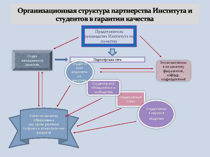 Организационная структура партнерства Института и студентов в гарантии качества Представитель руководства Института по качеству