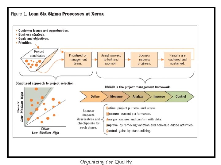 Organizing for Quality 