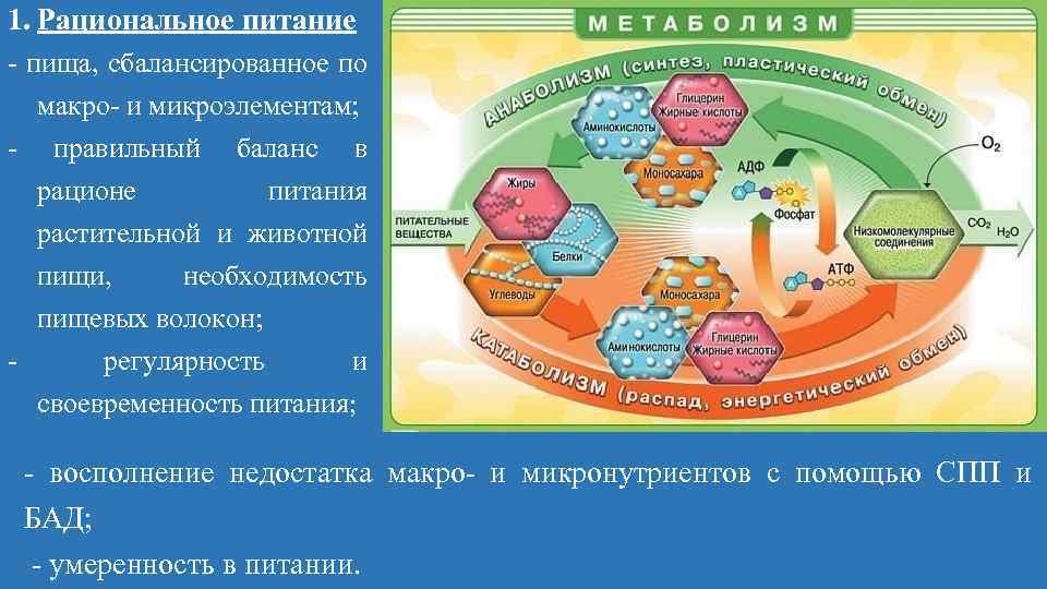 1. Рациональное питание пища, сбалансированное по макро и микроэлементам; правильный баланс в рационе питания