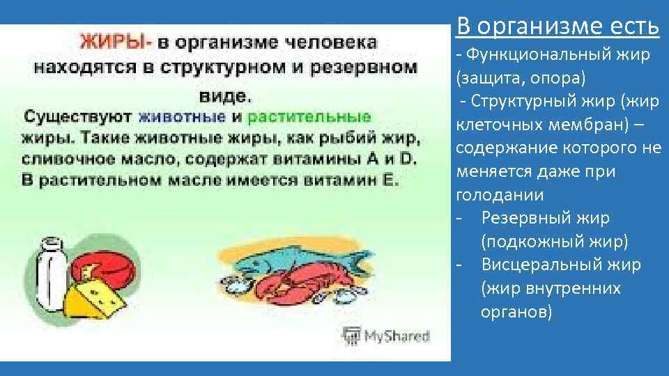 Съесть организм. Иры в организме человека. % Жира в организме. Где находится жир в организме.