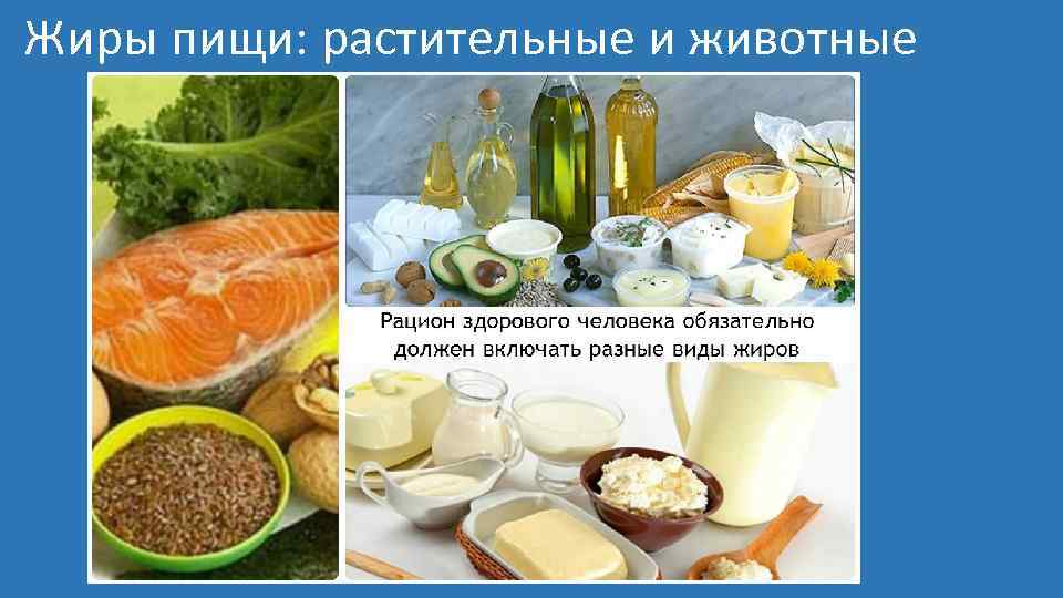 Жиры пищи: растительные и животные 