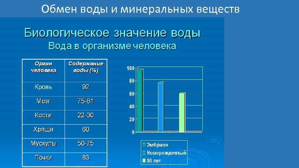 Обмен воды и минеральных веществ 