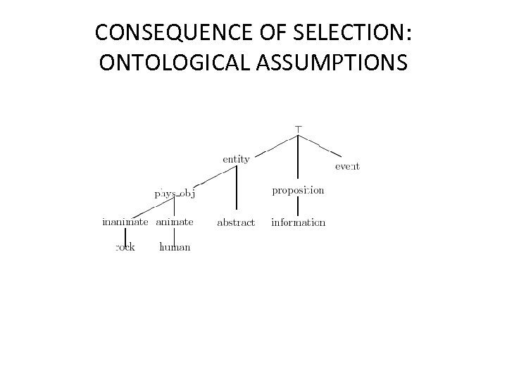 CONSEQUENCE OF SELECTION: ONTOLOGICAL ASSUMPTIONS 