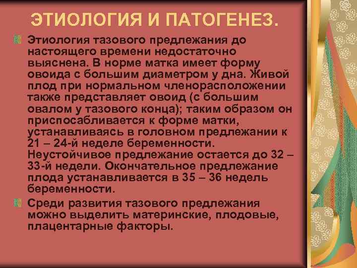 ЭТИОЛОГИЯ И ПАТОГЕНЕЗ. Этиология тазового предлежания до настоящего времени недостаточно выяснена. В норме матка