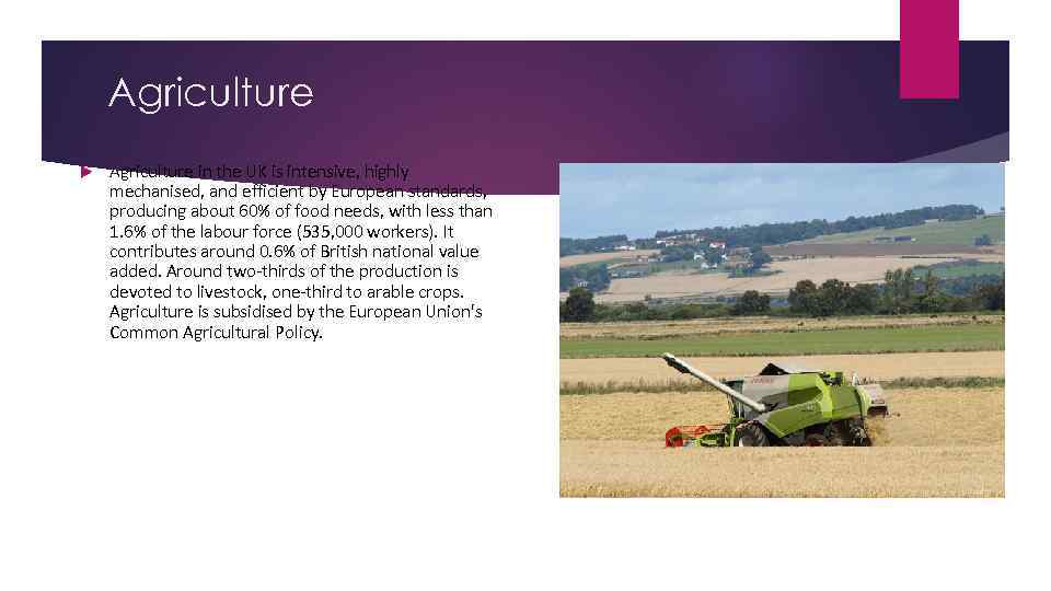Agriculture in the UK is intensive, highly mechanised, and efficient by European standards, producing