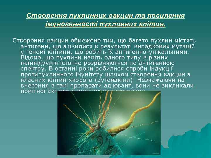 Створення пухлинних вакцин та посилення імуногенності пухлинних клітин. Створення вакцин обмежене тим, що багато