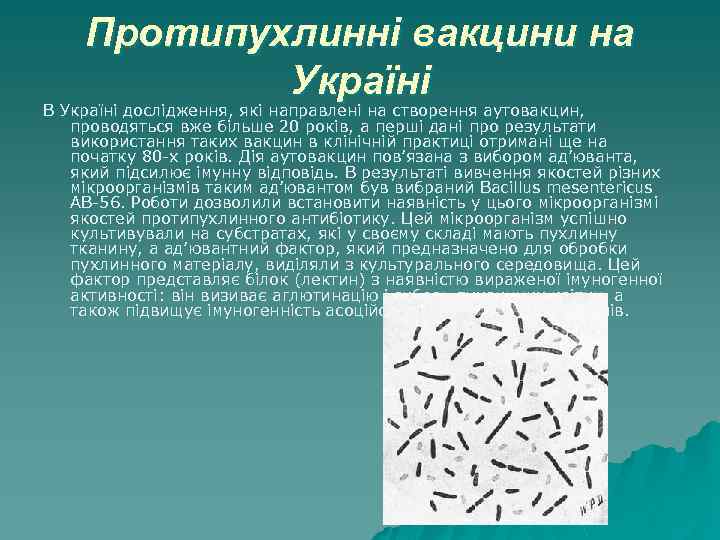 Протипухлинні вакцини на Україні В Україні дослідження, які направлені на створення аутовакцин, проводяться вже