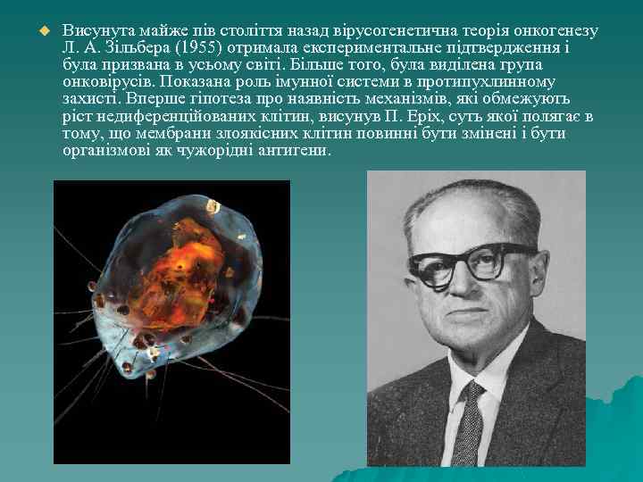 u Висунута майже пів століття назад вірусогенетична теорія онкогенезу Л. А. Зільбера (1955) отримала