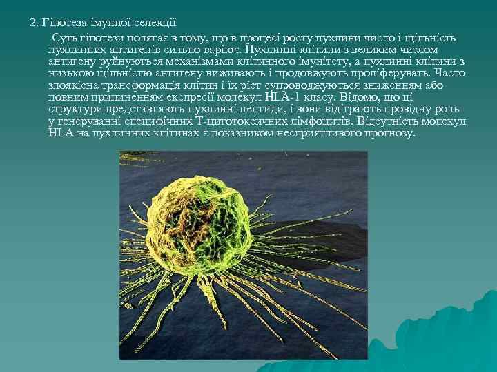 2. Гіпотеза імунної селекції Суть гіпотези полягає в тому, що в процесі росту пухлини