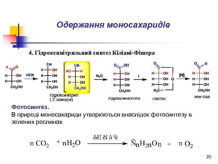 Одержання моносахаридів 4. Гідроксинітрильний синтез Кіліані-Фішера Фотосинтез. В природі моносахариди утворюються внаслідок фотосинтезу в