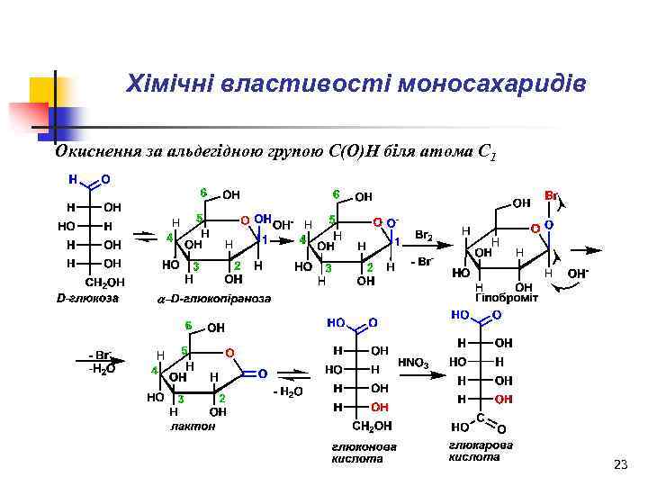 Хімічні властивості моносахаридів Окиснення за альдегідною групою С(О)Н біля атома С 1 23 