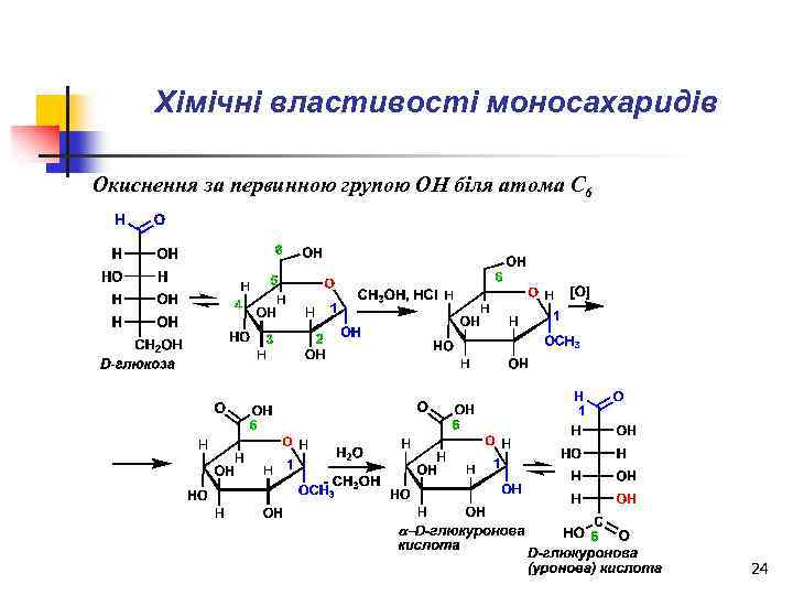 Хімічні властивості моносахаридів Окиснення за первинною групою ОН біля атома С 6 24 