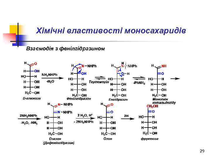 Хімічні властивості моносахаридів Взаємодія з фенілгідразином 29 