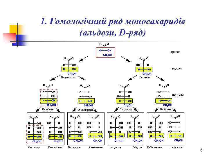 1. Гомологічний ряд моносахаридів (альдози, D-ряд) 6 