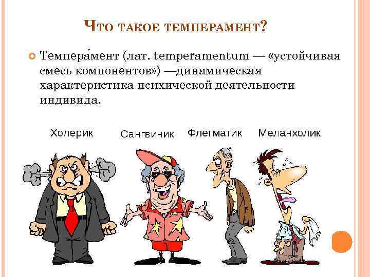 ЧТО ТАКОЕ ТЕМПЕРАМЕНТ? Темпера мент (лат. temperamentum — «устойчивая смесь компонентов» ) —динамическая характеристика