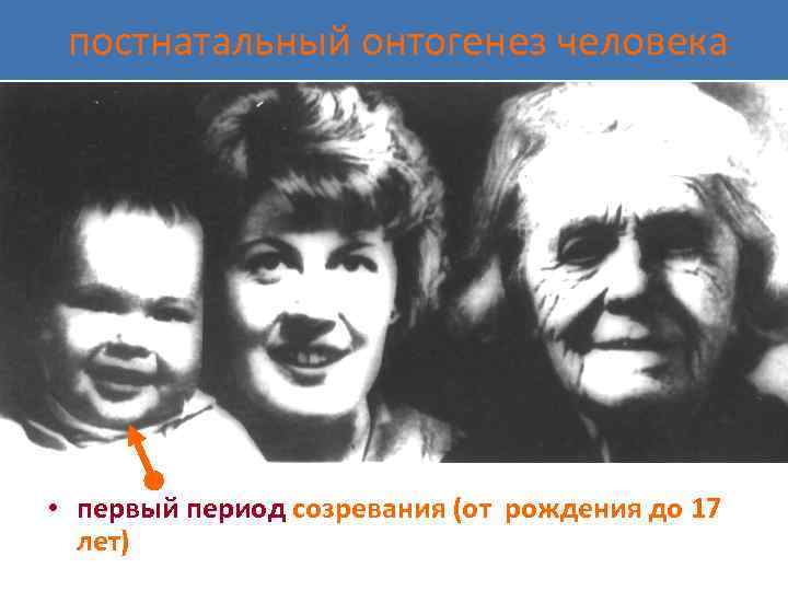 постнатальный онтогенез человека • первый период созревания (от рождения до 17 лет) 