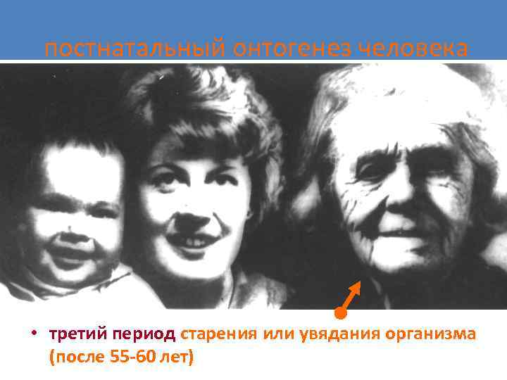 постнатальный онтогенез человека • третий период старения или увядания организма (после 55 -60 лет)