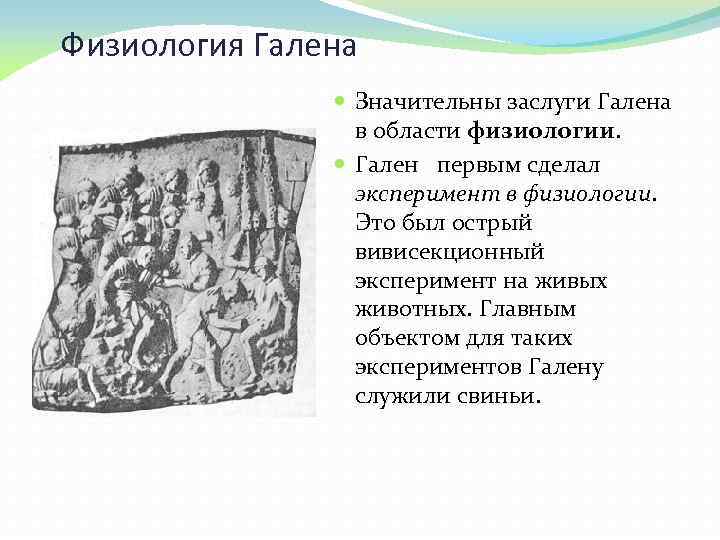  Физиология Галена Значительны заслуги Галена в области физиологии. Гален первым сделал эксперимент в