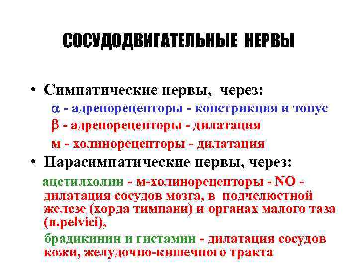 СОСУДОДВИГАТЕЛЬНЫЕ НЕРВЫ • Симпатические нервы, через: - адренорецепторы - констрикция и тонус - адренорецепторы