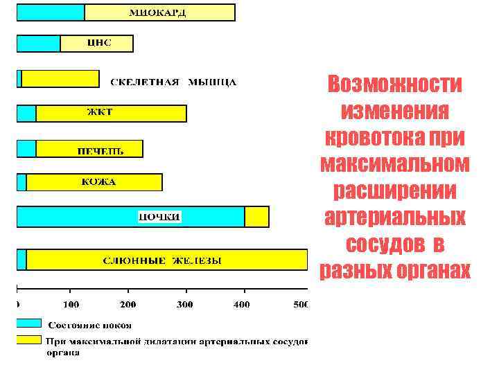 Возможности изменения кровотока при максимальном расширении артериальных сосудов в разных органах 