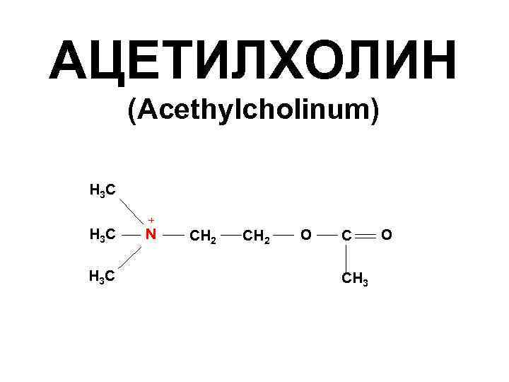 АЦЕТИЛХОЛИН (Acethylcholinum) Н 3 С + N СН 2 О С СН 3 О