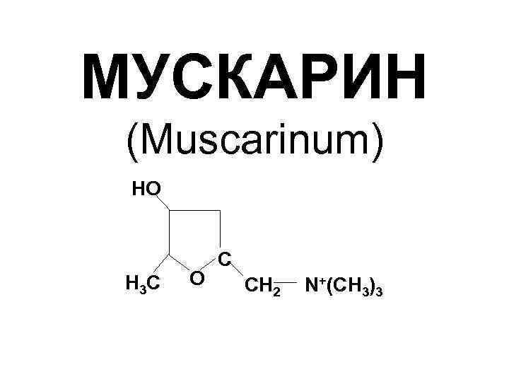 МУСКАРИН (Muscarinum) НO Н 3 С O С СН 2 N+(СН 3)3 