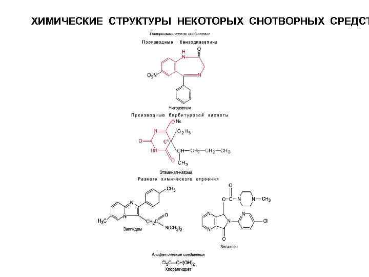 Строение некоторые