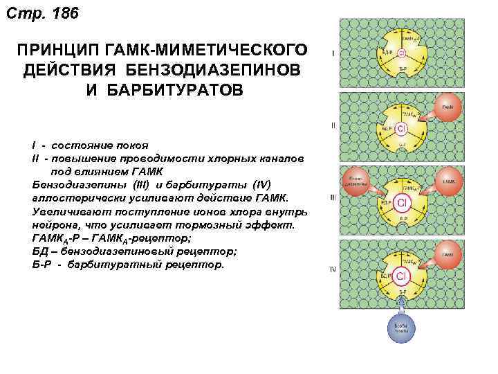 Стр. 186 ПРИНЦИП ГАМК-МИМЕТИЧЕСКОГО ДЕЙСТВИЯ БЕНЗОДИАЗЕПИНОВ И БАРБИТУРАТОВ I - состояние покоя II -