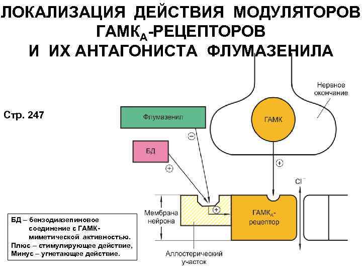 ЛОКАЛИЗАЦИЯ ДЕЙСТВИЯ МОДУЛЯТОРОВ ГАМКА-РЕЦЕПТОРОВ И ИХ АНТАГОНИСТА ФЛУМАЗЕНИЛА Стр. 247 БД – бензодиазепиновое соединение