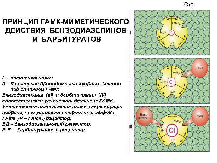 Стр. ПРИНЦИП ГАМК-МИМЕТИЧЕСКОГО ДЕЙСТВИЯ БЕНЗОДИАЗЕПИНОВ И БАРБИТУРАТОВ I - состояние покоя II - повышение