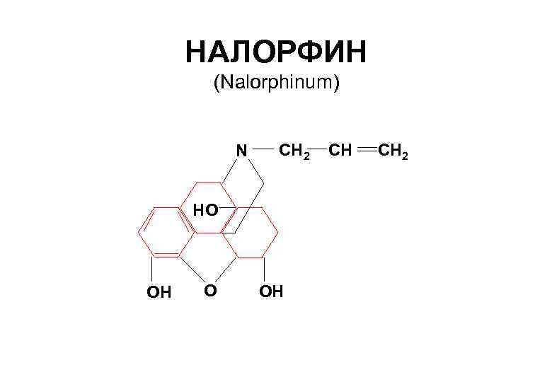 НАЛОРФИН (Nalorphinum) N СН 2 HO OH СН СН 2 