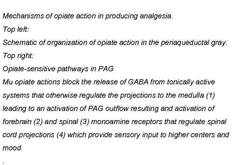 Mechanisms of opiate action in producing analgesia. Top left: Schematic of organization of opiate