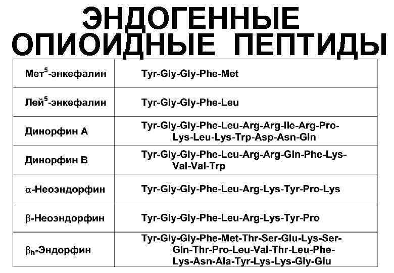 ЭНДОГЕННЫЕ ОПИОИДНЫЕ ПЕПТИДЫ 