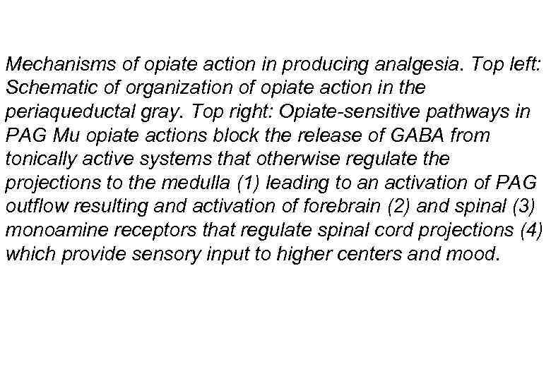 Mechanisms of opiate action in producing analgesia. Top left: Schematic of organization of opiate