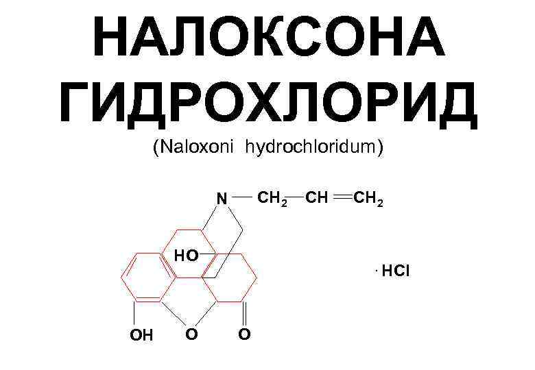 НАЛОКСОНА ГИДРОХЛОРИД (Naloxoni hydrochloridum) СН 2 N HO OH O СН СН 2 .