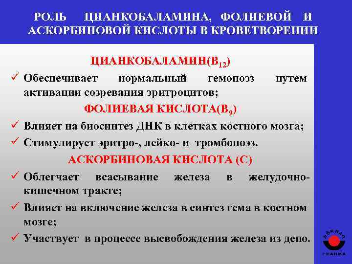 РОЛЬ ЦИАНКОБАЛАМИНА, ФОЛИЕВОЙ И АСКОРБИНОВОЙ КИСЛОТЫ В КРОВЕТВОРЕНИИ ü ü ü ЦИАНКОБАЛАМИН(В 12) Обеспечивает