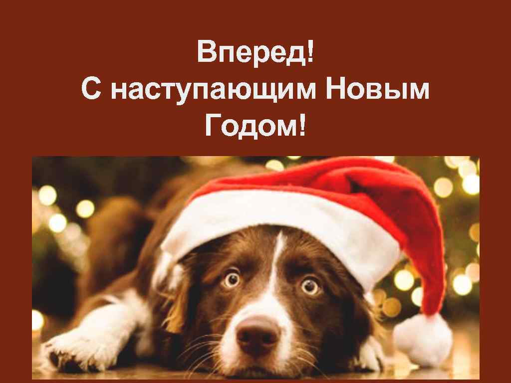Вперед! С наступающим Новым Годом! 