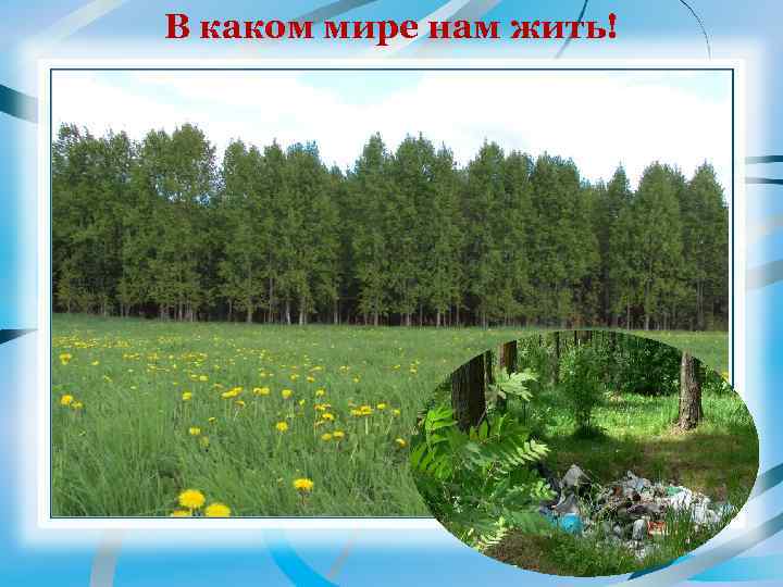 В каком мире нам жить! 