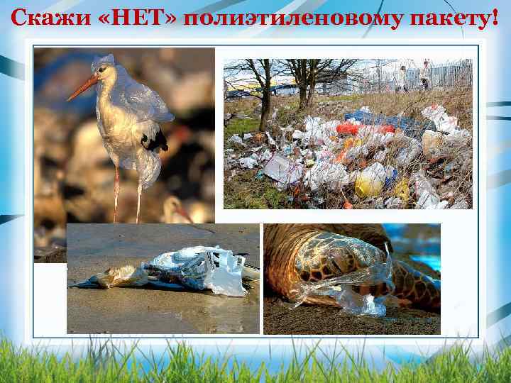 Скажи «НЕТ» полиэтиленовому пакету! 