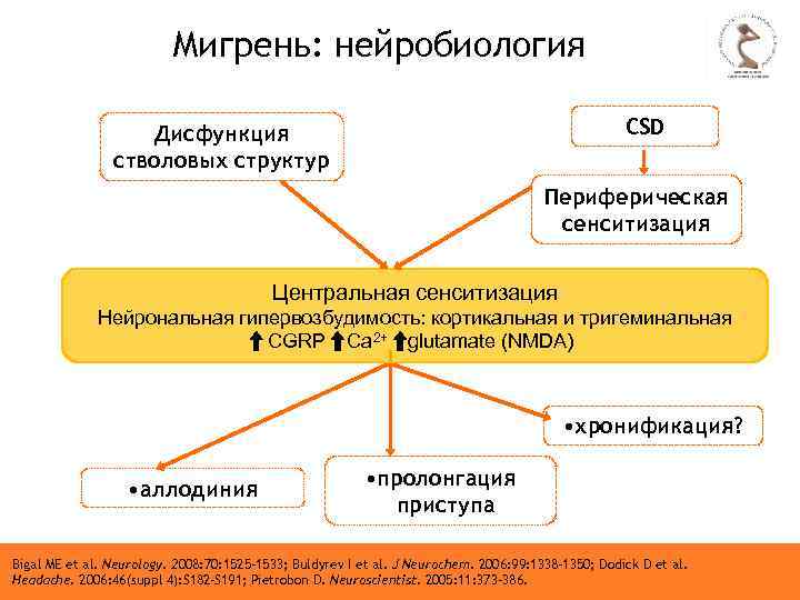 Мигрень: нейробиология CSD Дисфункция стволовых структур Периферическая сенситизация Центральная сенситизация Нейрональная гипервозбудимость: кортикальная и