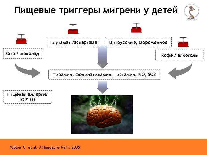 Пищевые триггеры мигрени у детей Глутамат /аспартама Цитрусовые, мороженное Сыр / шоколад кофе /