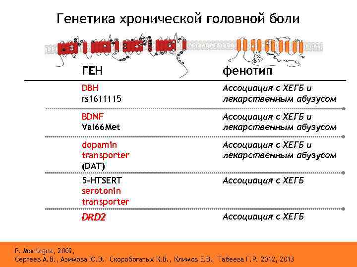 Генетика хронической головной боли ГЕН фенотип DBH rs 1611115 Ассоциация с ХЕГБ и лекарственным