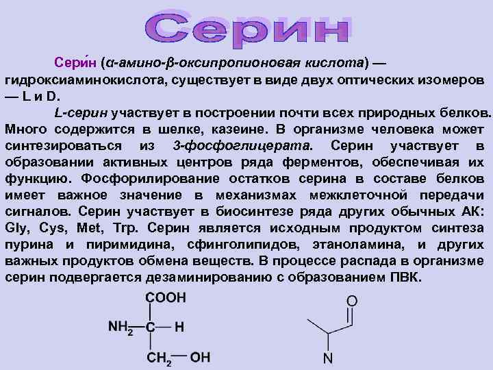 Сери н (α-амино-β-оксипропионовая кислота) — гидроксиаминокислота, существует в виде двух оптических изомеров — L