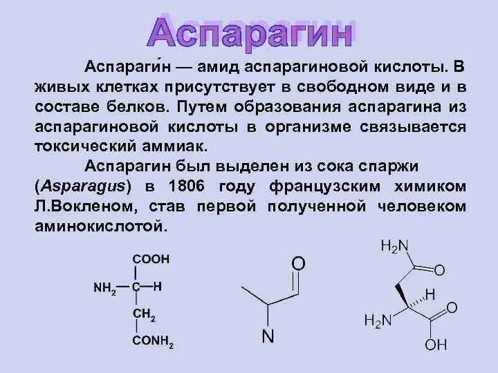 Аспараги н — амид аспарагиновой кислоты. В живых клетках присутствует в свободном виде и
