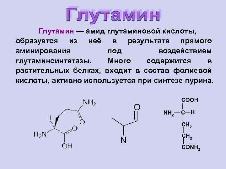 Глутамин — амид глутаминовой кислоты, образуется из неё в результате прямого аминирования под воздействием