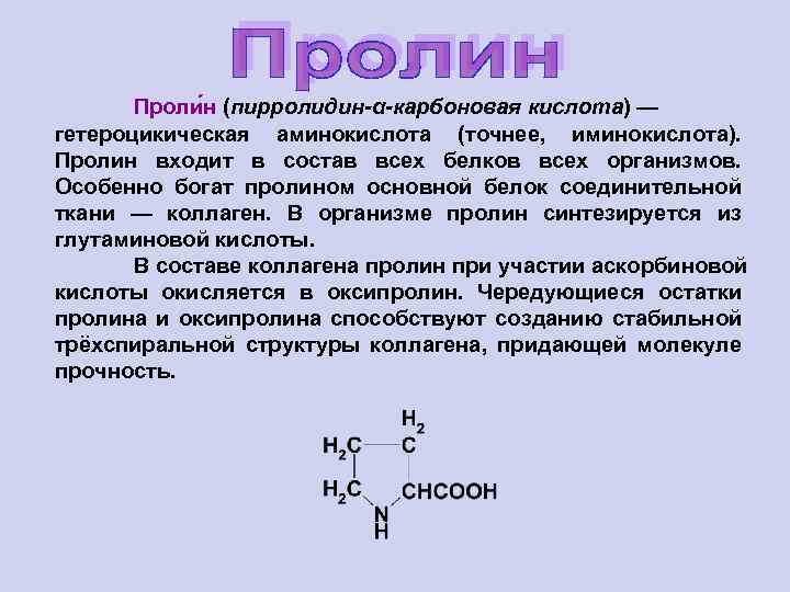 Проли н (пирролидин-α-карбоновая кислота) — гетероцикическая аминокислота (точнее, иминокислота). Пролин входит в состав всех
