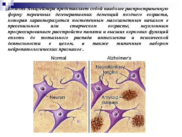 Болезнь Альцгеймера представляет собой наиболее распространенную форму первичных дегенеративных деменций позднего возраста, которая характеризуется