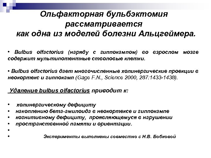 Ольфакторная бульбэктомия рассматривается как одна из моделей болезни Альцгеймера. • Bulbus olfactorius (наряду с