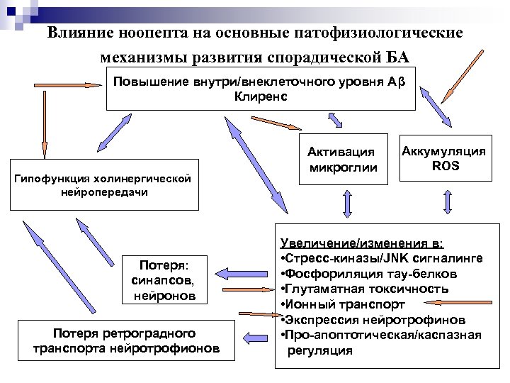 Влияние ноопепта на основные патофизиологические механизмы развития спорадической БА Повышение внутри/внеклеточного уровня Аβ Клиренс