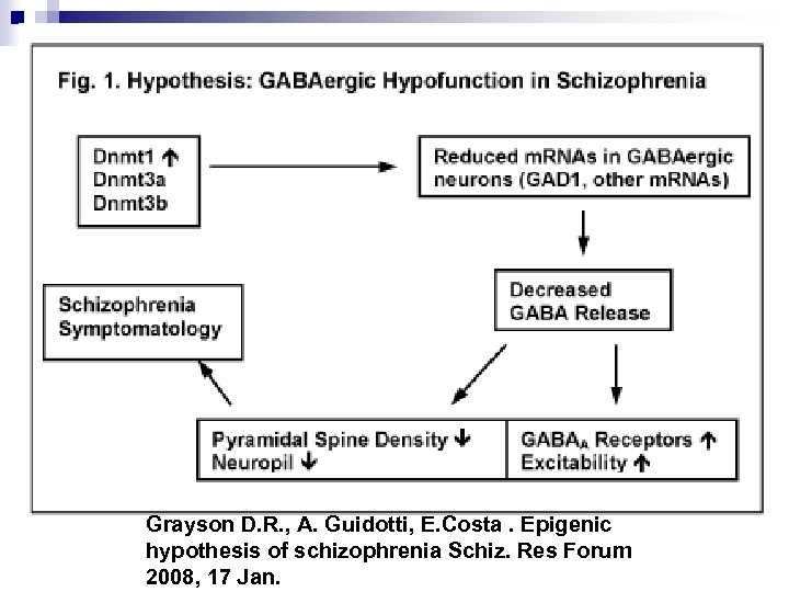 Grayson D. R. , A. Guidotti, E. Costa. Epigenic hypothesis of schizophrenia Schiz. Res